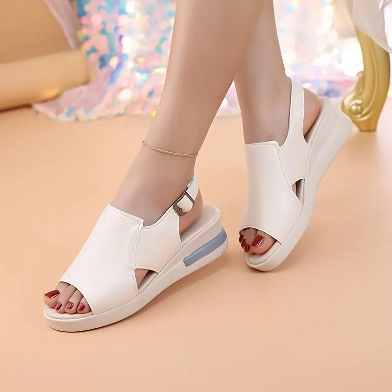 gid://shopify/MediaImage/24906949984350